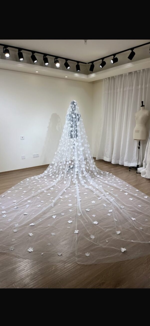 voile 5
