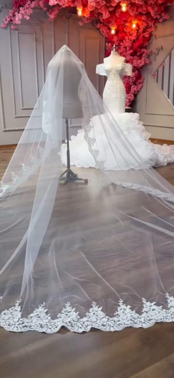 voile 10